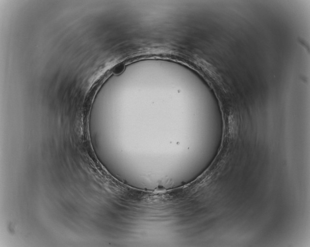 X0000102811165200809021152