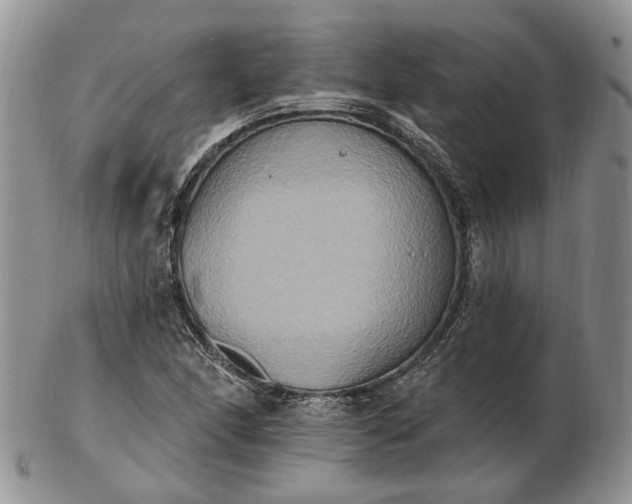 X0000102811166200809021152