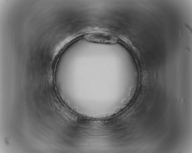 X0000102811167200809021152