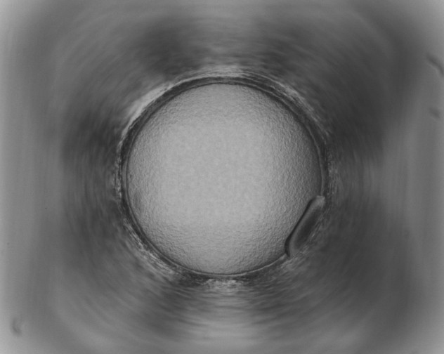 X0000102811168200809021152