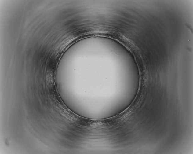 X0000102811169200809021152