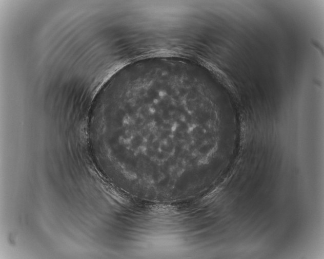 X0000102811170200809021152