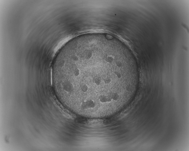 X0000102811171200809021152