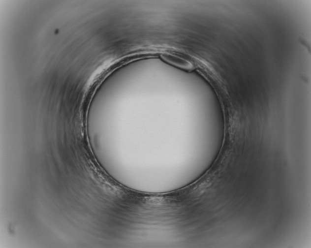 X0000102811172200809021152