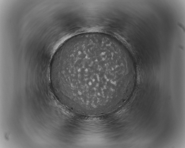 X0000102811174200809021152