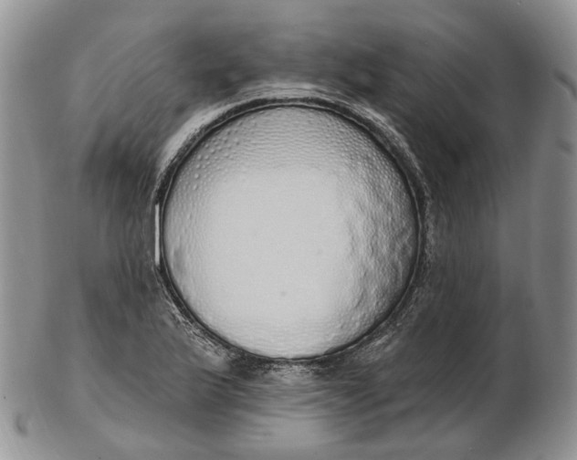 X0000102811175200809021152