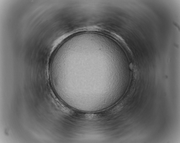 X0000102811176200809021152