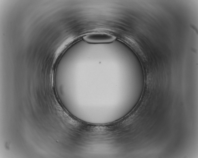 X0000102811180200809021152