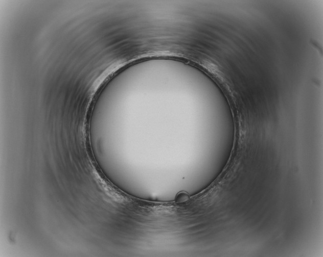 X0000102811181200809021152