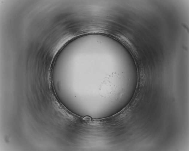 X0000102811182200809021152