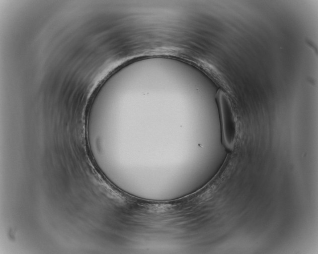 X0000102811184200809021152