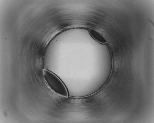 X0000102811185200809021152