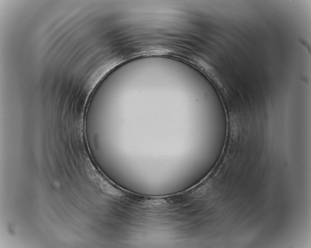 X0000102811186200809021152