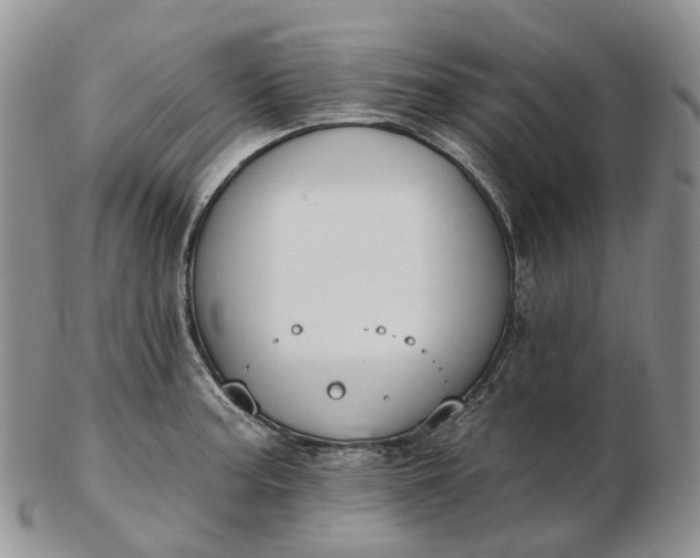 X0000102811187200809021152