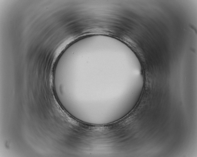 X0000102811188200809021152