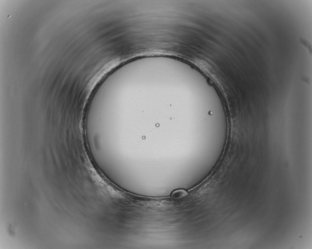 X0000102811189200809021152