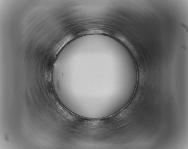 X0000102811193200809021152