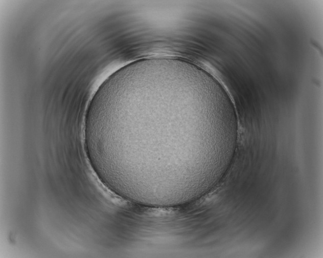 X0000102811195200809021152