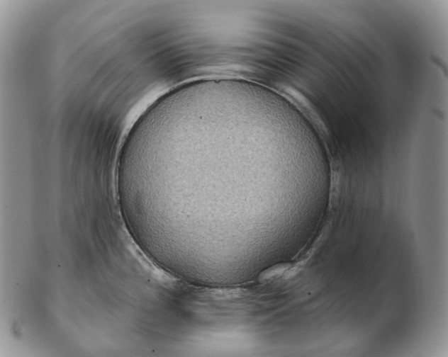 X0000102811196200809021152