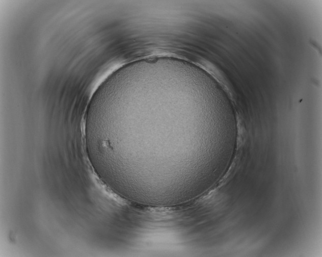 X0000102811198200809021152