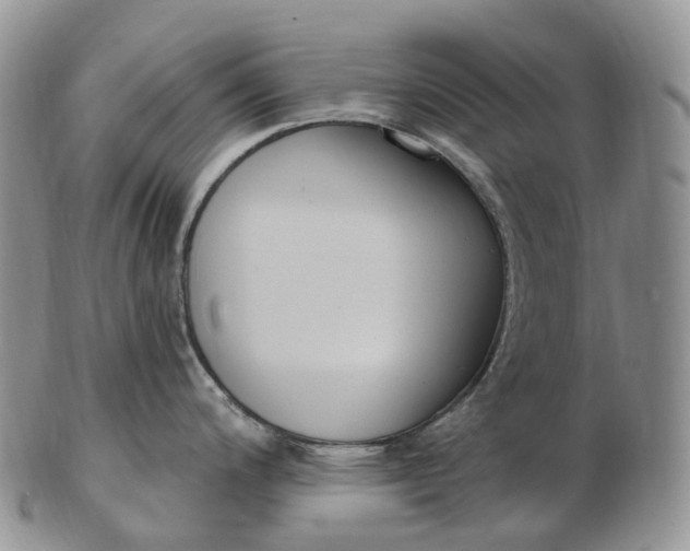 X0000102811200200809021152