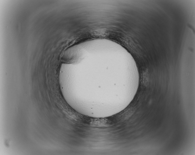 X0000102811201200809021151