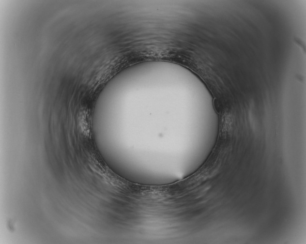 X0000102811202200809021151