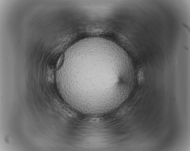 X0000102811204200809021151