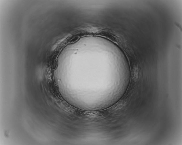 X0000102811205200809021151