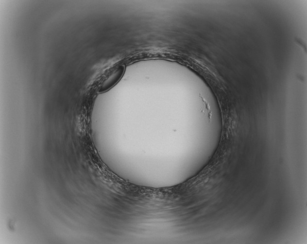 X0000102811207200809021151