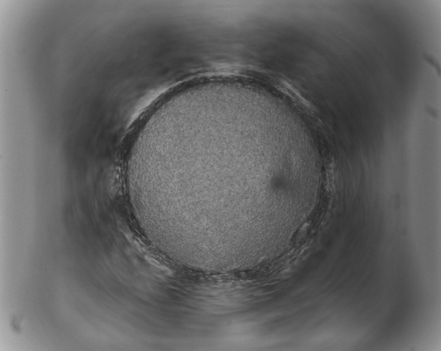 X0000102811208200809021151