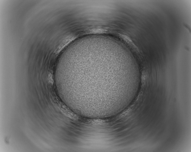 X0000102811209200809021151