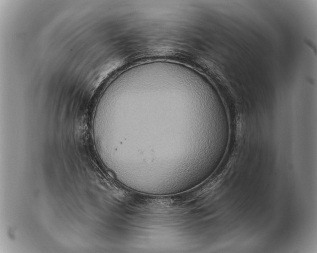 X0000102811210200809021151