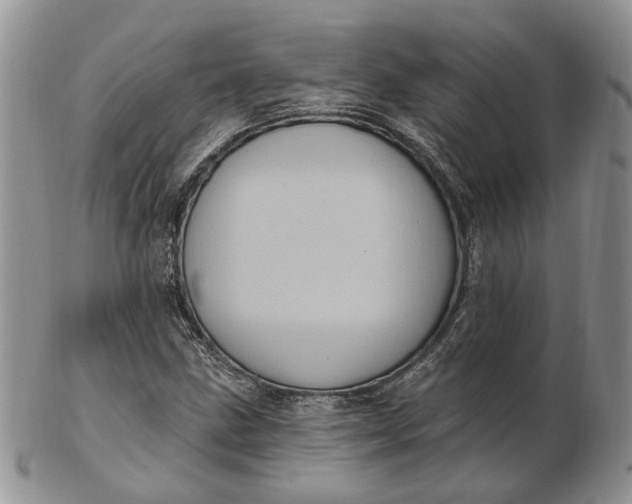 X0000102811211200809021151