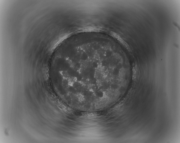 X0000102811213200809021151