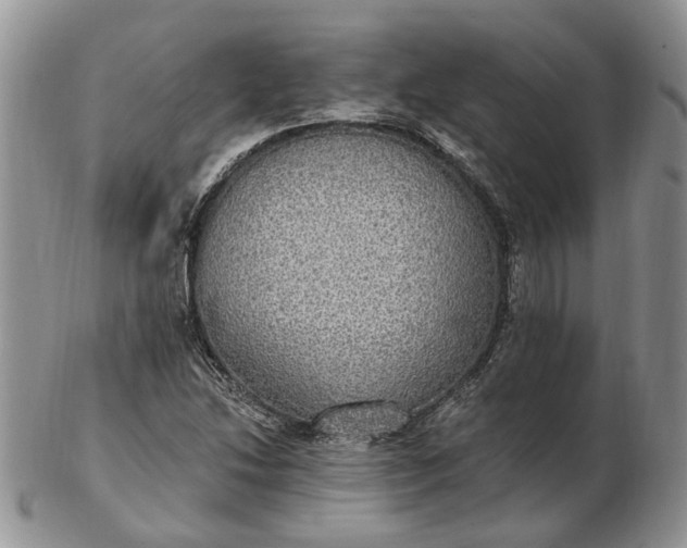 X0000102811214200809021151