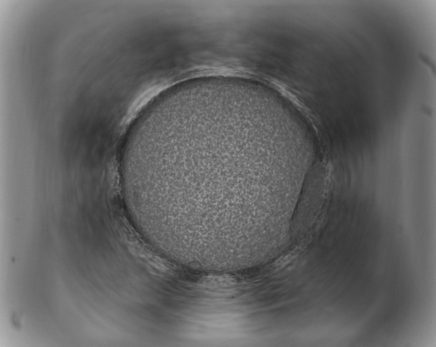 X0000102811215200809021151