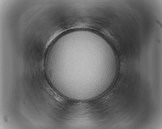 X0000102811216200809021151