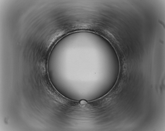 X0000102811218200809021151