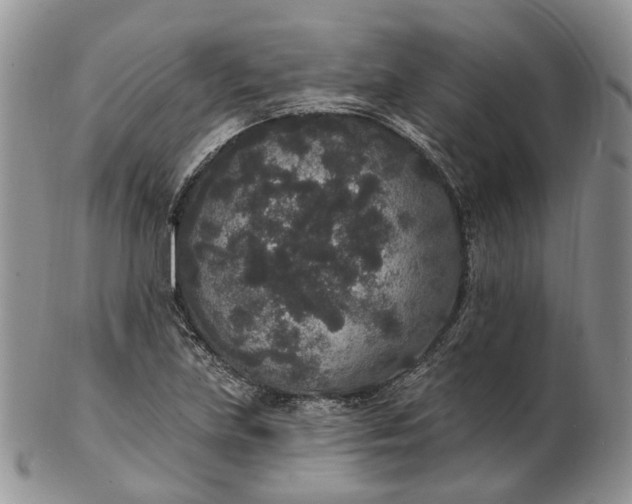 X0000102811219200809021151