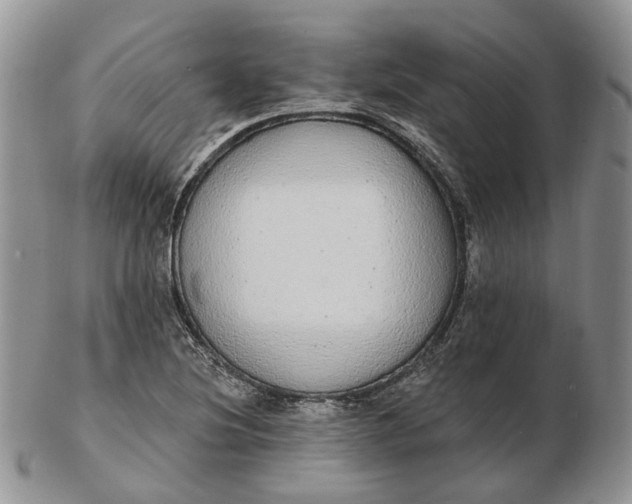 X0000102811220200809021151