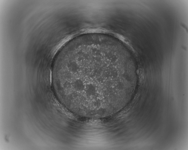 X0000102811221200809021151