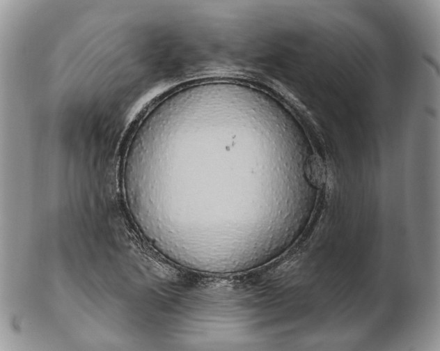 X0000102811222200809021151