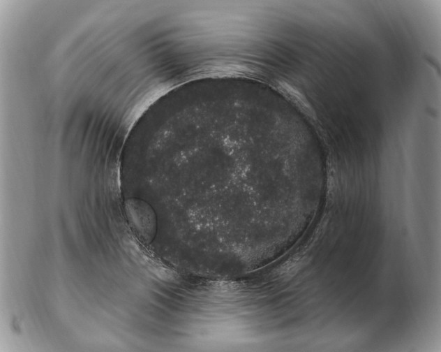 X0000102811226200809021151