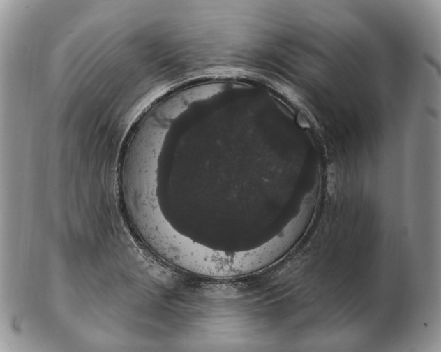 X0000102811229200809021151