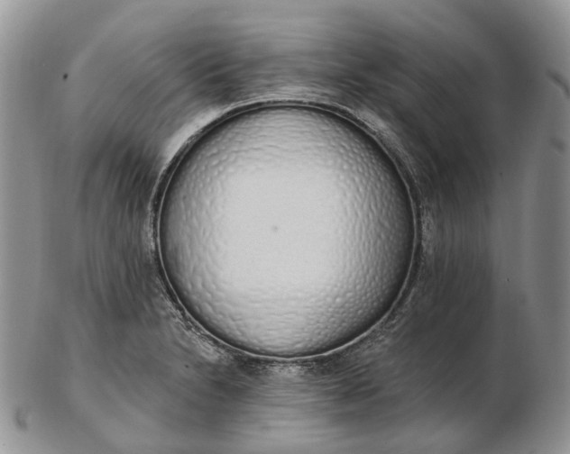 X0000102811230200809021151