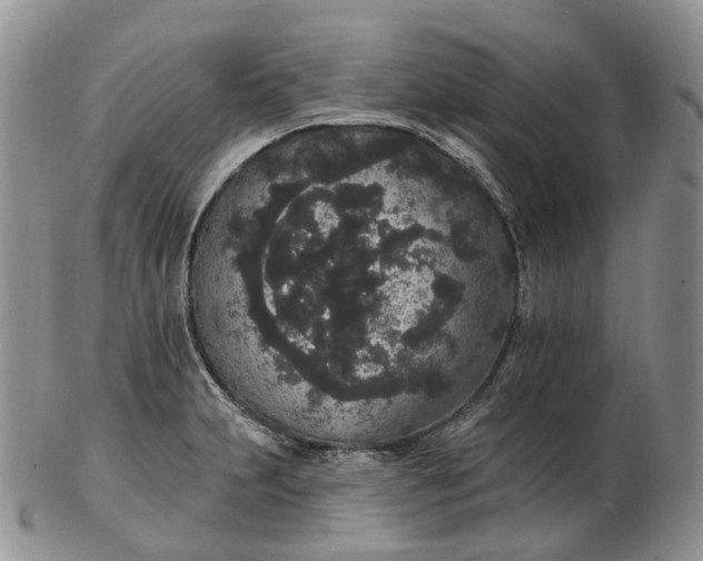 X0000102811231200809021151