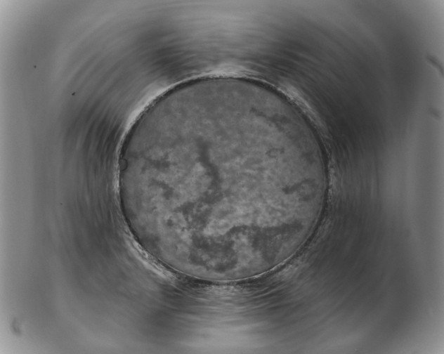 X0000102811232200809021151