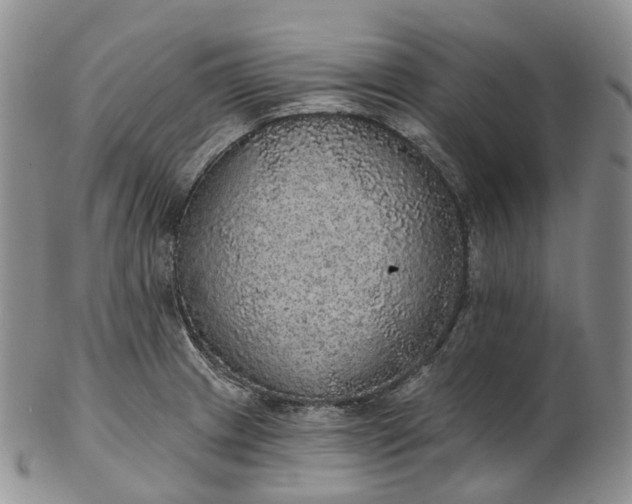 X0000102811233200809021151