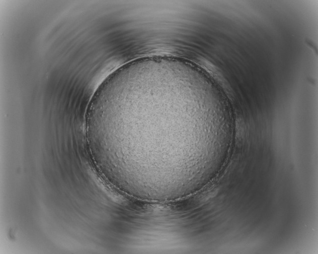 X0000102811234200809021151